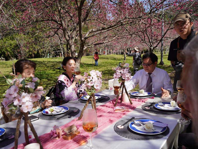 【南投。美食】櫻花樹下五感一次到位，九族文化村櫻花季「與春天有約-櫻花饗宴」。